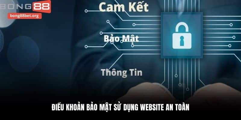 Điều khoản bảo mật sử dụng website an toàn