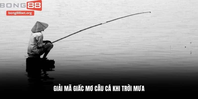 Giải mã giấc mơ câu cá khi trời mưa
