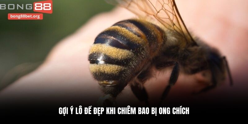 Gợi ý lô đề đẹp khi chiêm bao bị ong chích