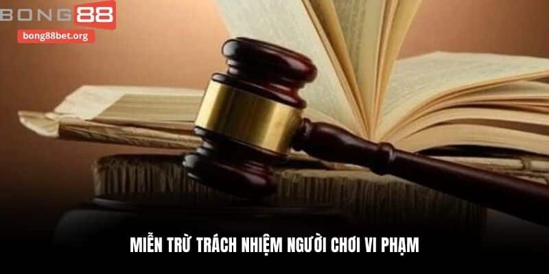 Miễn trừ trách nhiệm người chơi vi phạm