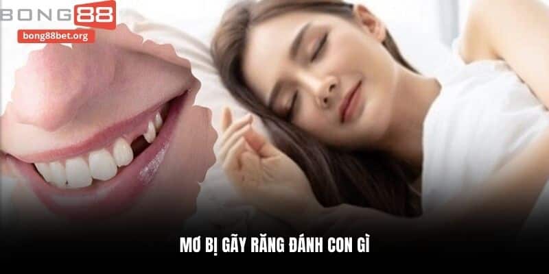 Mơ bị gãy răng đánh con gì