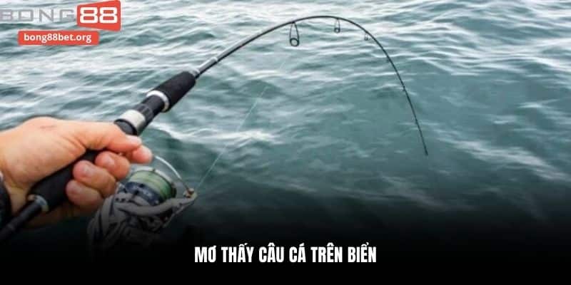 Mơ thấy câu cá trên biển