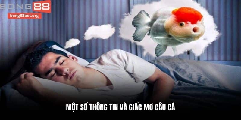 Một số thông tin và giấc mơ câu cá
