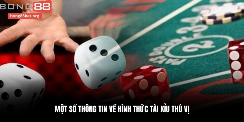 Một số thông tin về hình thức tài xỉu thú vị