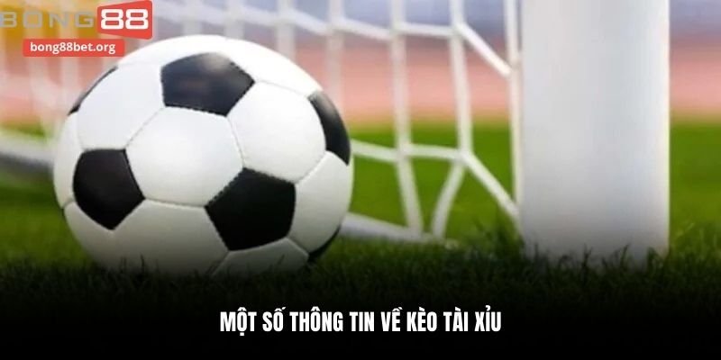 Một số thông tin về kèo tài xỉu