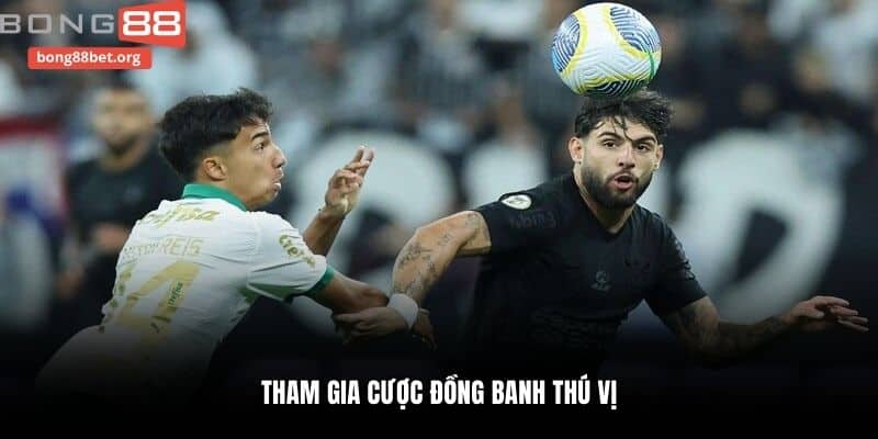 Tham gia cược đồng banh thú vị