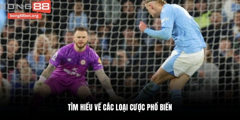Tìm hiểu về các loại cược phổ biến