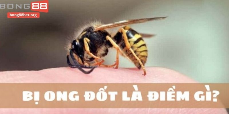 Ý nghĩa giấc mộng về loài ong
