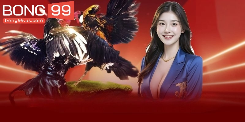 Đá Gà - Sân Chơi Giải Trí Đẳng Cấp Của Anh Em Kê Thủ 1 Tổng quan đôi nét về sảnh đá gà